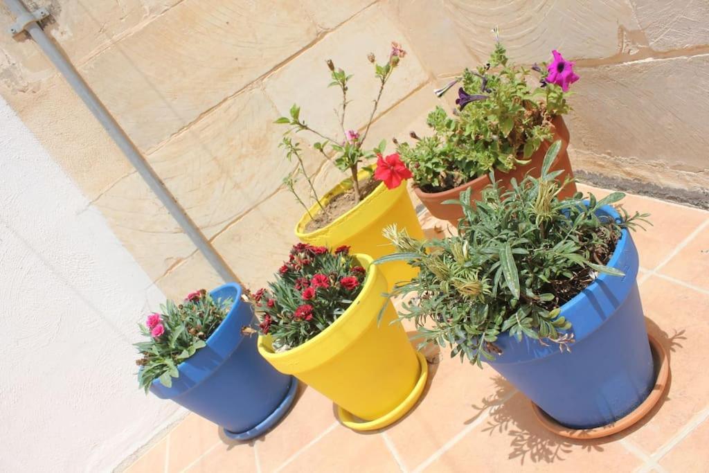 That Little Zurrieq Экстерьер фото